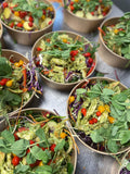Fugleskydning Blandet Salat