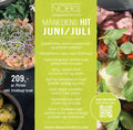 MÅNEDENS HIT – JUNI AND JULI